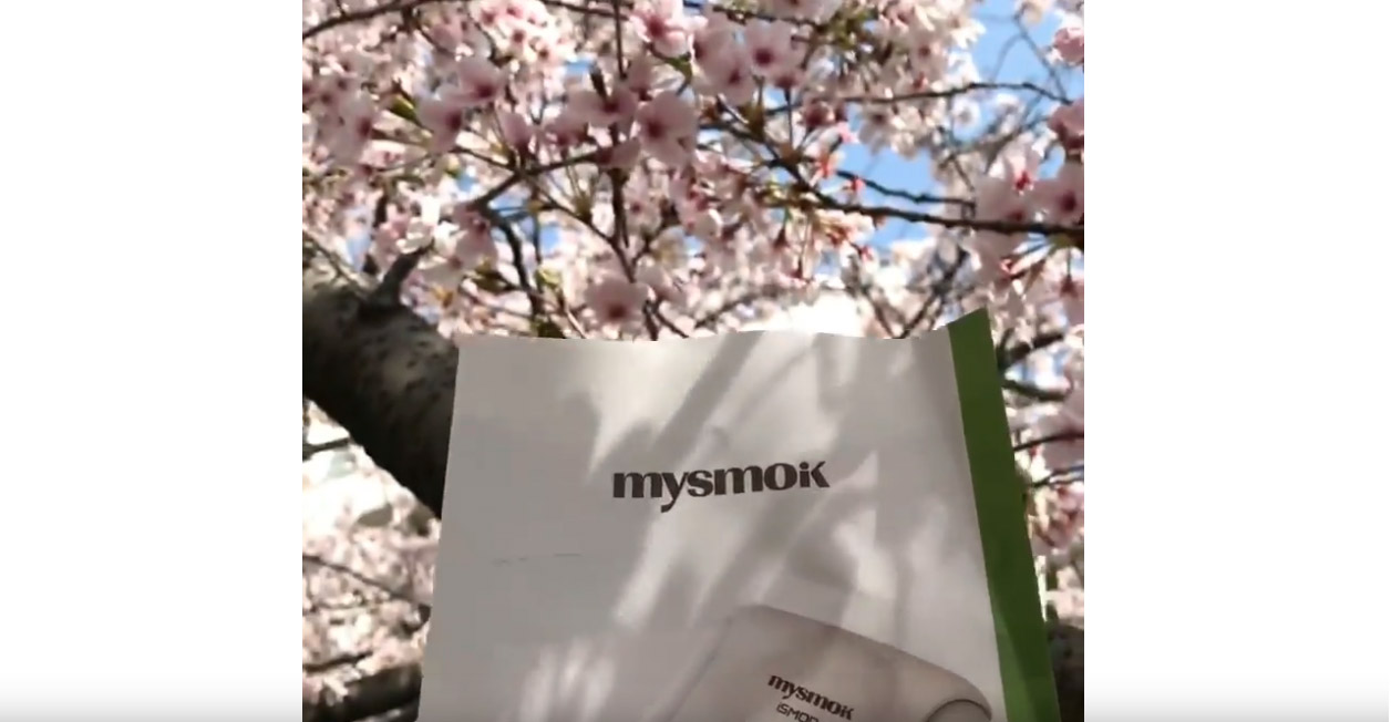 quando il calore Yun Xi non si burla il dispositivo incontra sakura